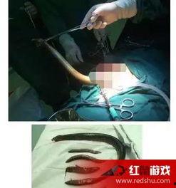 黄鳝女主播高清无码