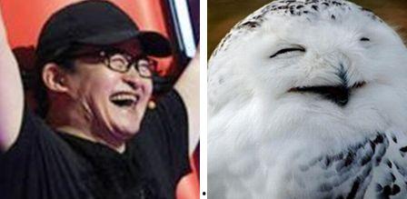 刘欢漫画 表情包,趣味横生的幽默瞬间