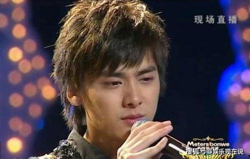 李易峰 内地娱乐圈,内地娱乐圈的璀璨明星