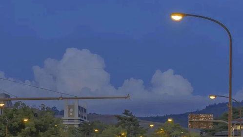 雪梨家庭背景,出身名门，演绎现代都市女性的传奇人生